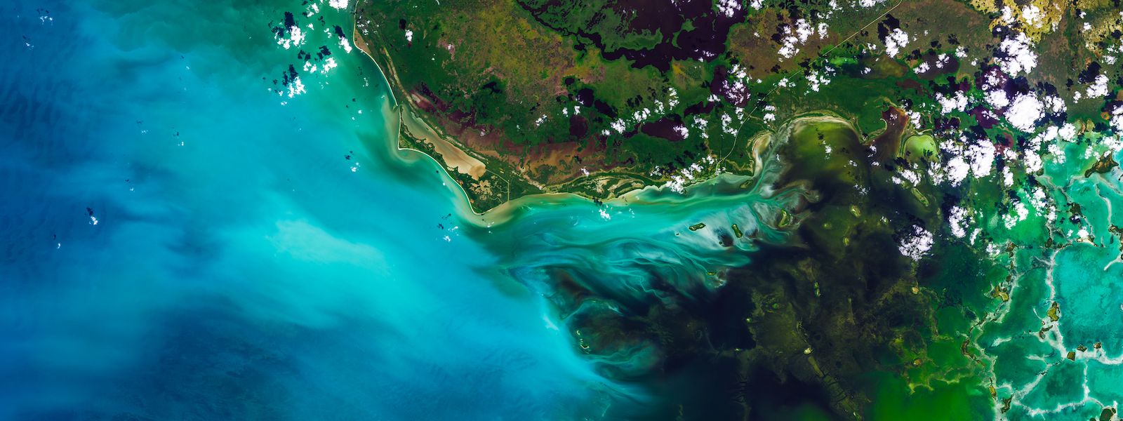 Investor Climate Action